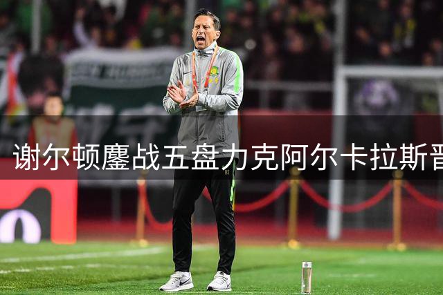 谢尔顿鏖战五盘力克阿尔卡拉斯晋级美网下一轮